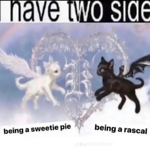 Meet your Posher, Jesse